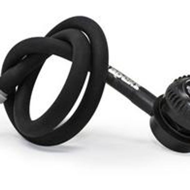 Hovedbilde P-valve, Apeks